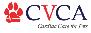 CVCA logo