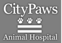 City Paws logo