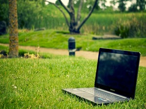 laptop in grass