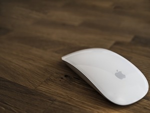 apple mouse