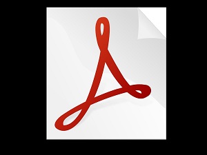 acrobat icon