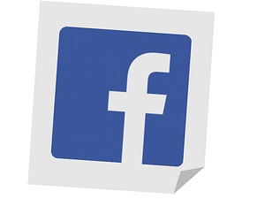 facebook logo