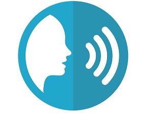 voice icon