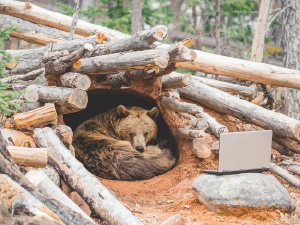 Hibernate or Sleep Mode?